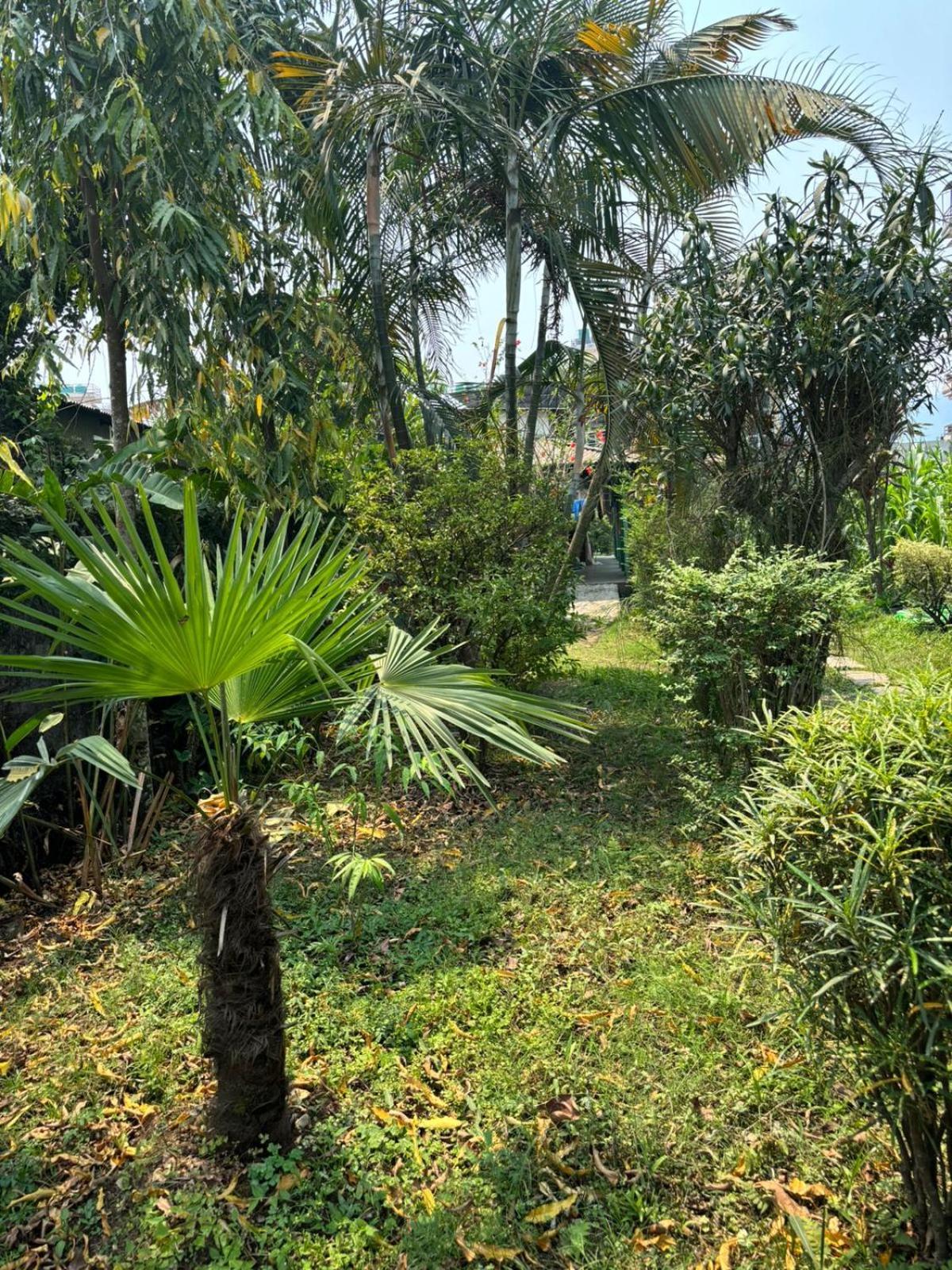 Cherry Garden Pokhara Exterior photo