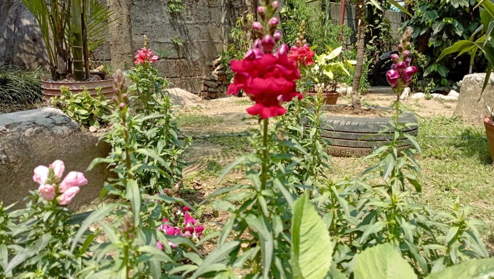 Cherry Garden Pokhara Exterior photo
